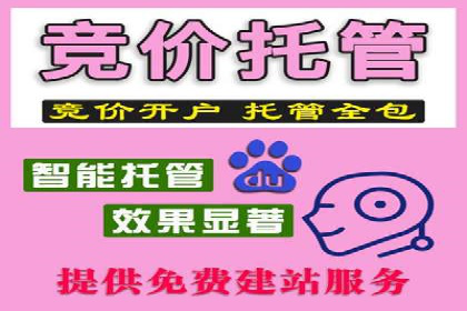 信息流广告代理项目案例分析